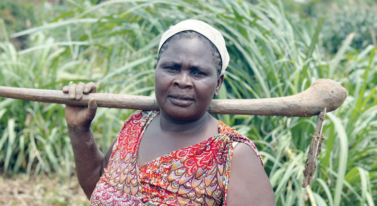 Malawi faces 300 000 metric tonne fertiliser gap
